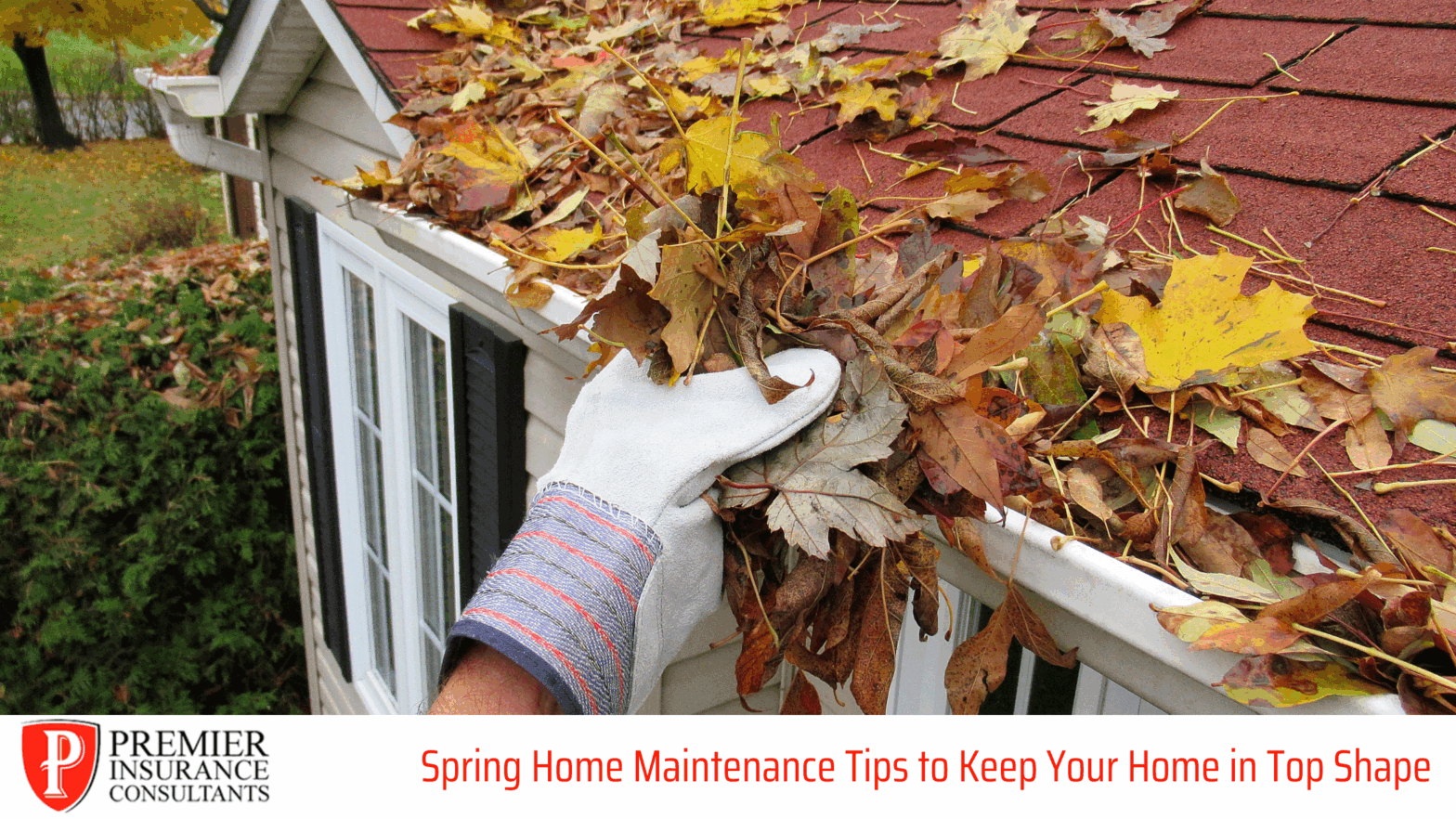 Spring Home Maintenance Tips