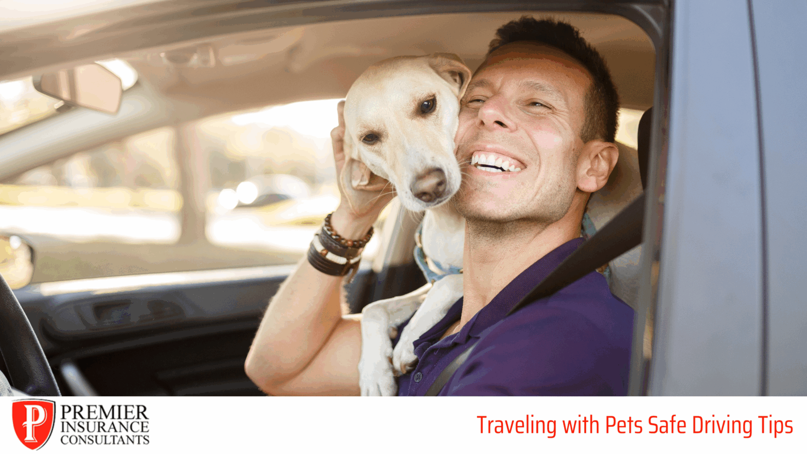 Driving Safely with Pets
