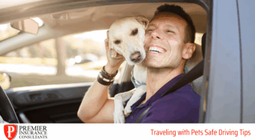 Driving Safely with Pets
