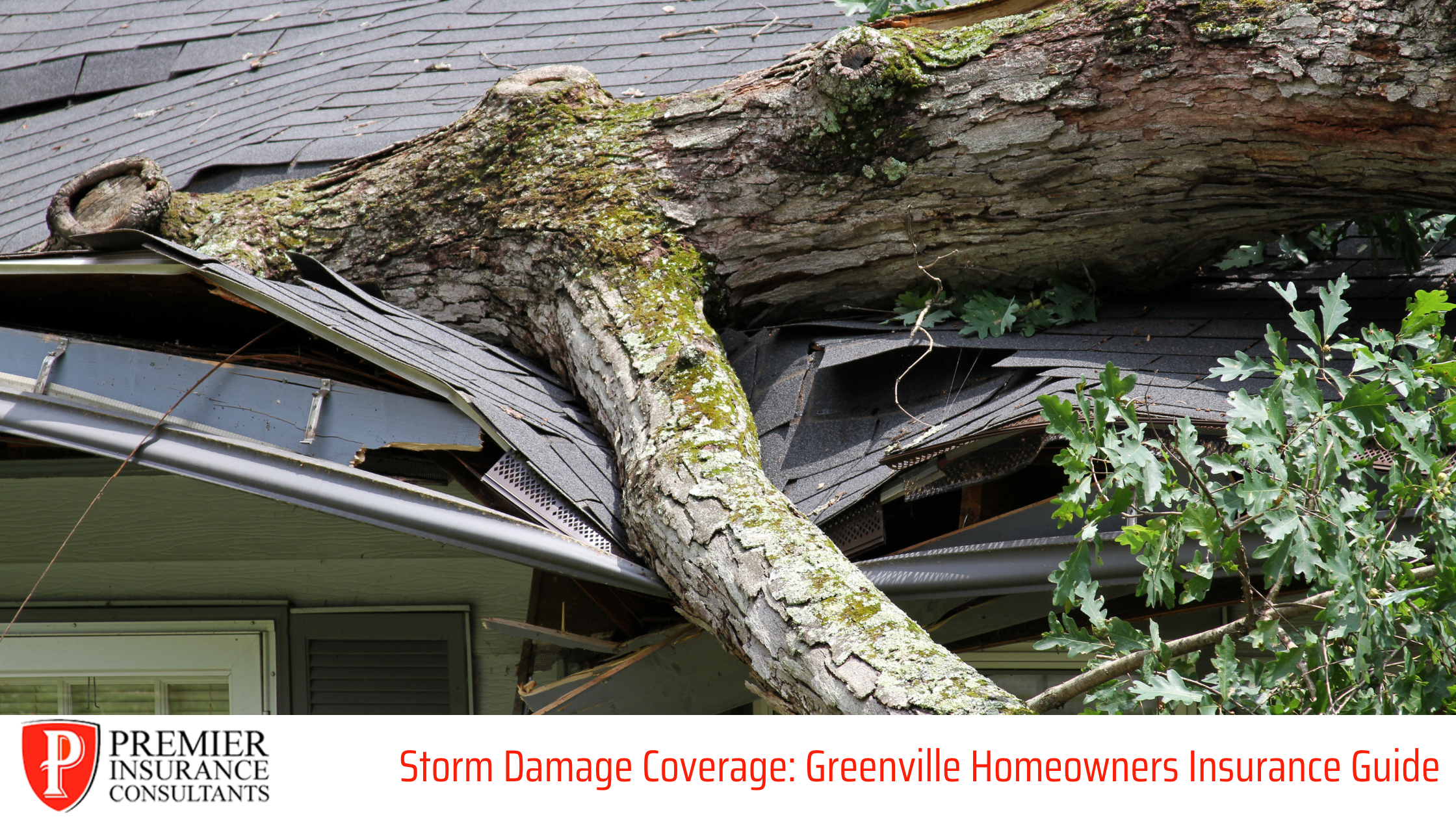 Greenville Homeowners Insurance